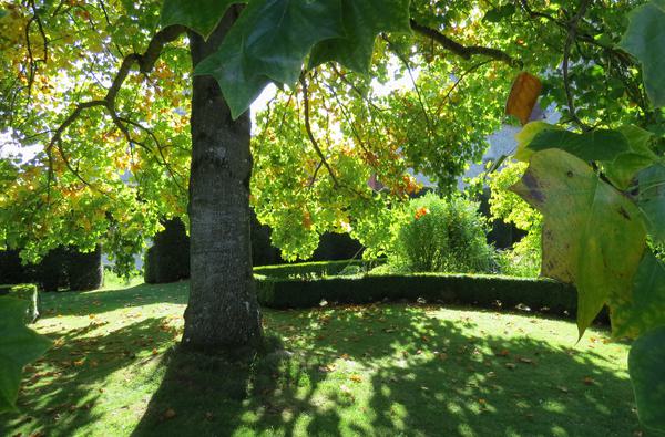 Alis St Cross Michaelmas Fair September 2018 0044