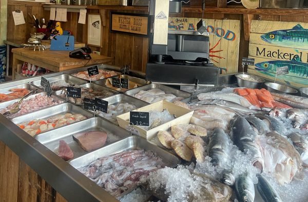 Anyfish Interior