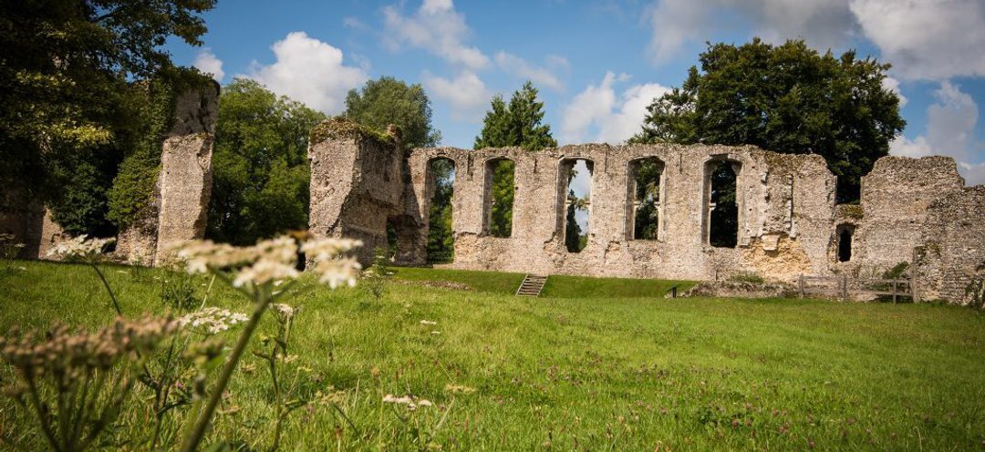 Bishops Waltham Palace ruins