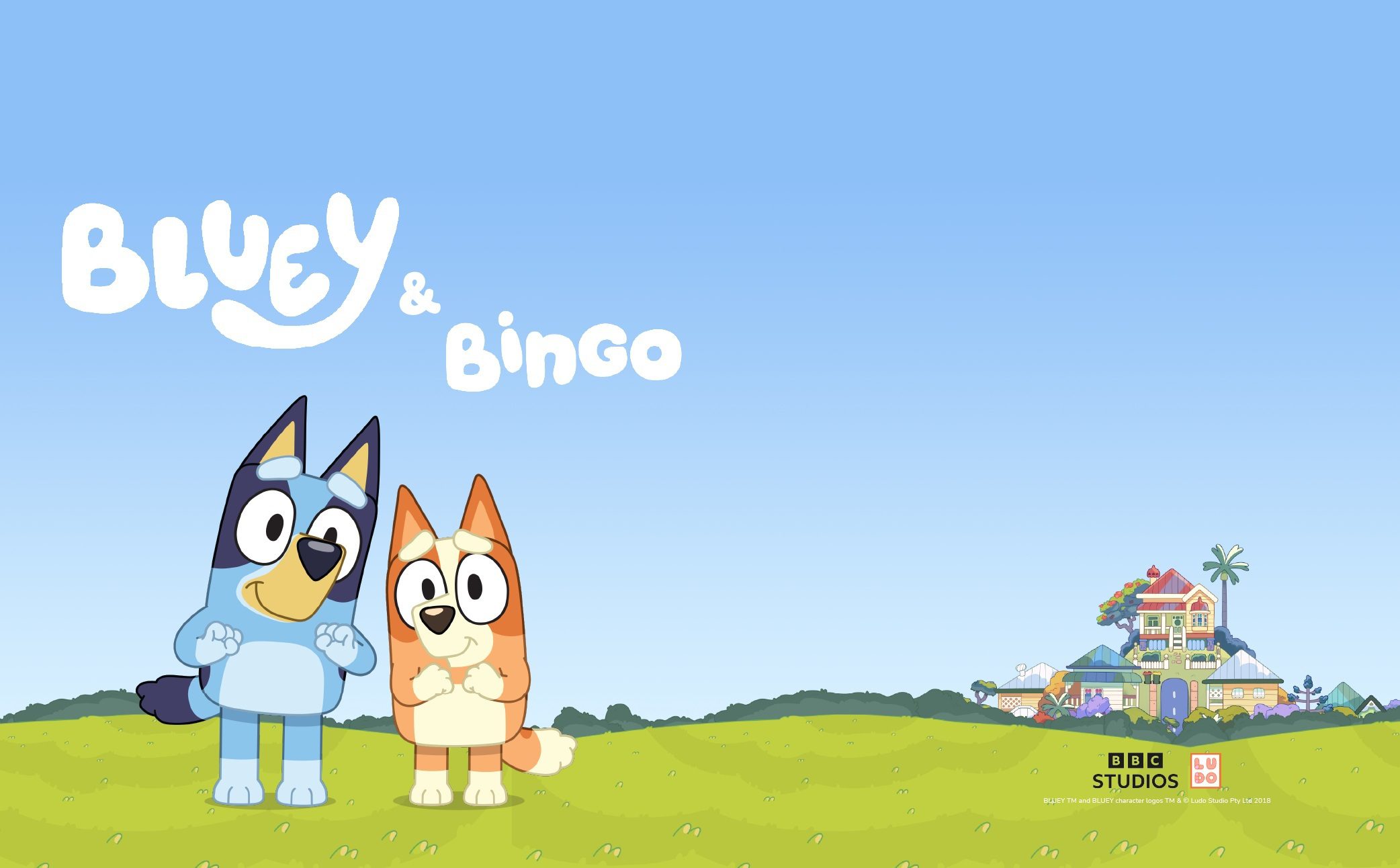 Bluey Bingo Meet and Greet