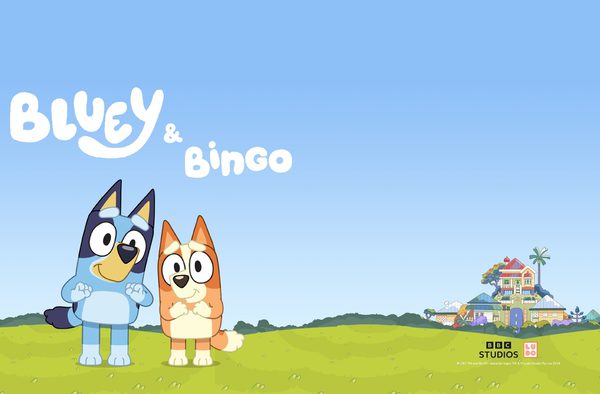 Bluey Bingo Meet and Greet
