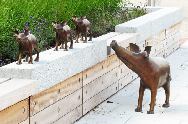Bronze Pigs