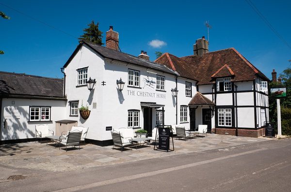 Chestnut Horse Exterior