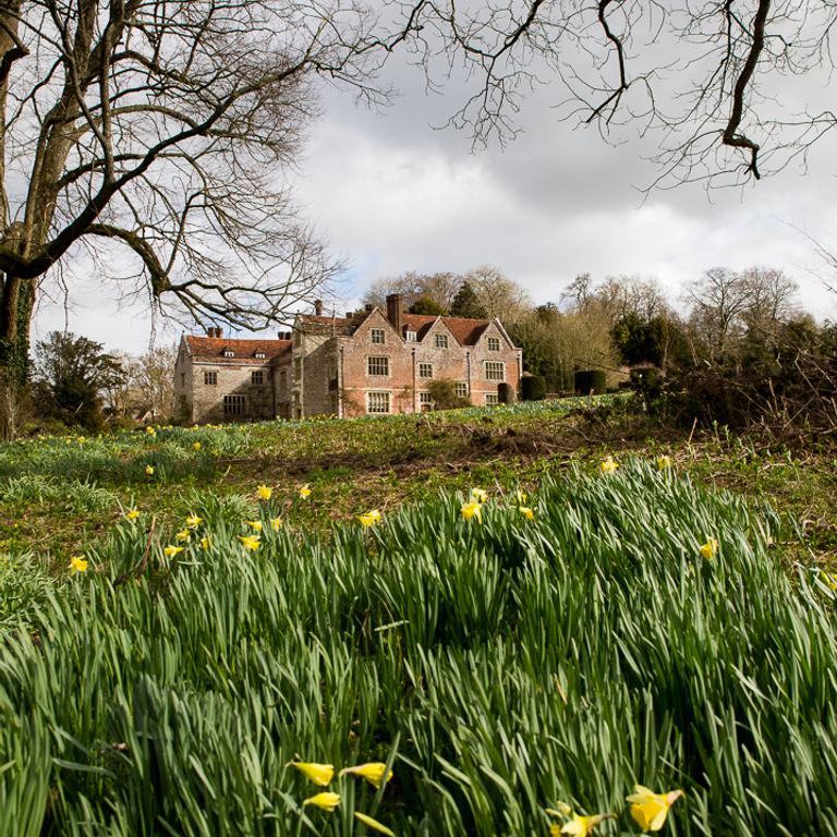 Easter Chawton House Claire Lewis