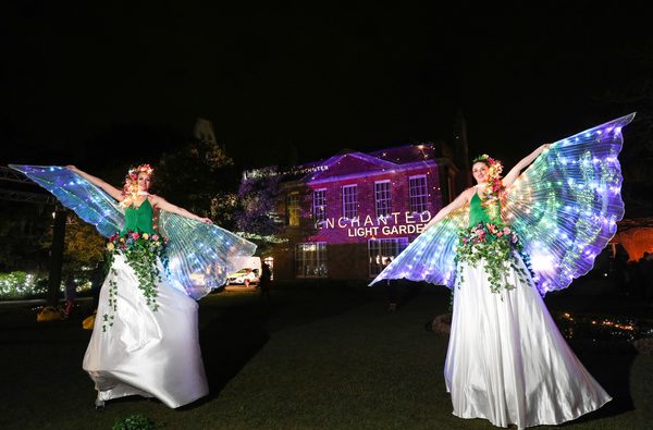 Enchanted Light Garden 3 Stuart Martin