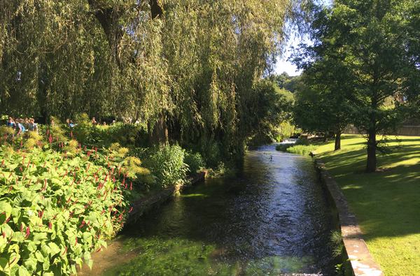 Itchen River 13 copyright WCC