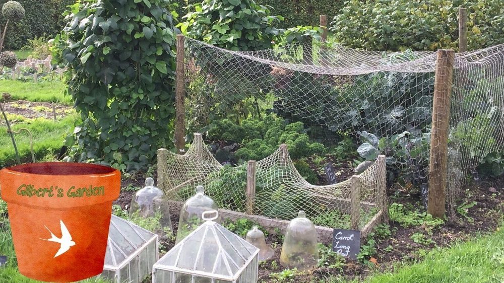 Kitchen Garden