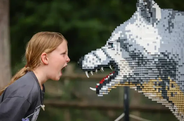 Marwell Zoo Extinction Dire Wolf Roar 1000x667 1 jpg