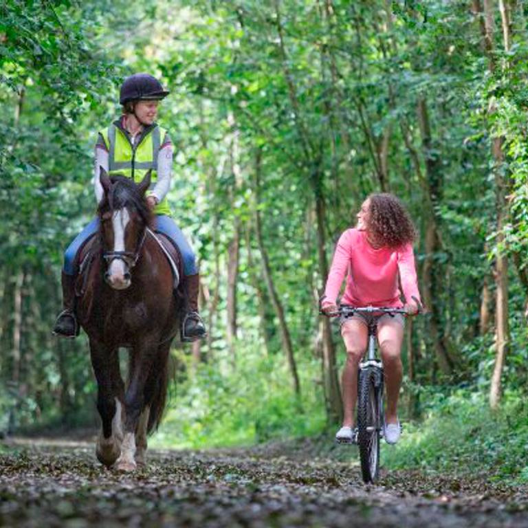 Meon Valley Trail 1000x400
