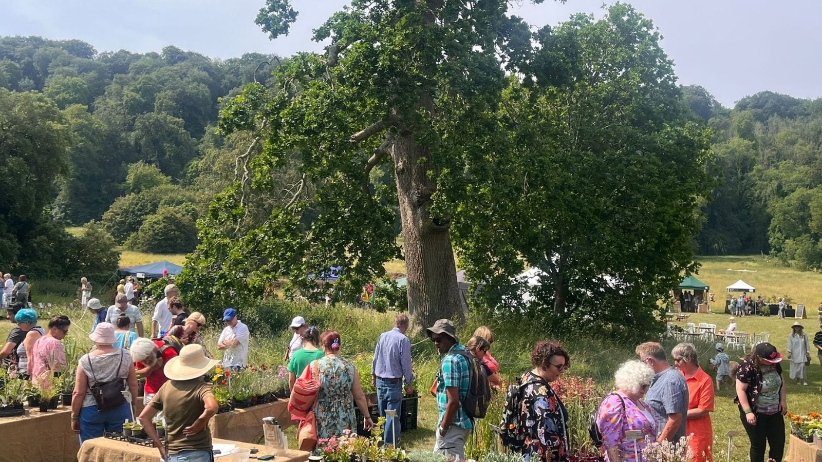 Plant Fair