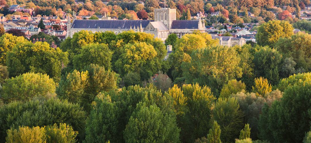 SDNP A View from St Catherines Hill 2 lpr