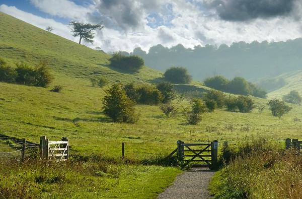 St Catherines Hill South Downs credit to South Downs National Park Authority