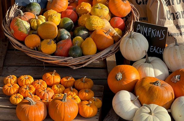 West Lea Farm Shop pumpkins 1