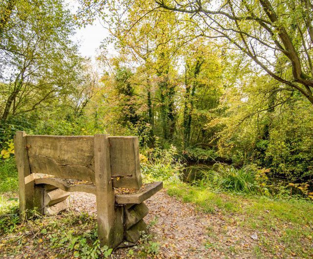 Winnall Moors