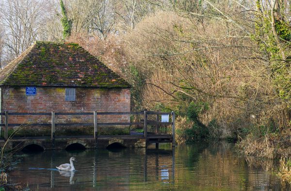 Alre trail alresford