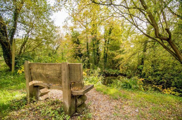 Bench at Winnall Moors