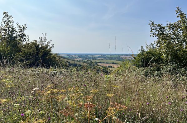 Old Winchester Hill EWA