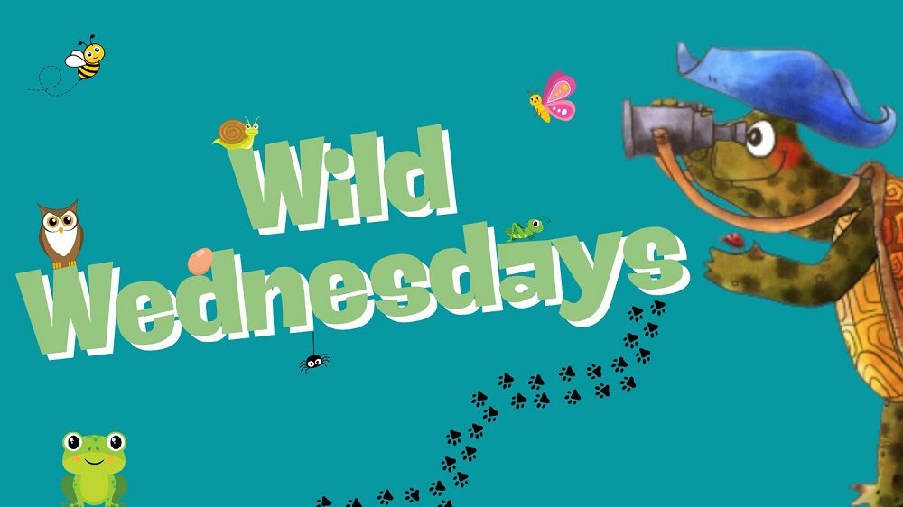 Wild Wednesdays