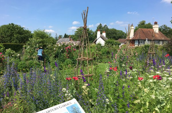 Gilbert white 1 scaled