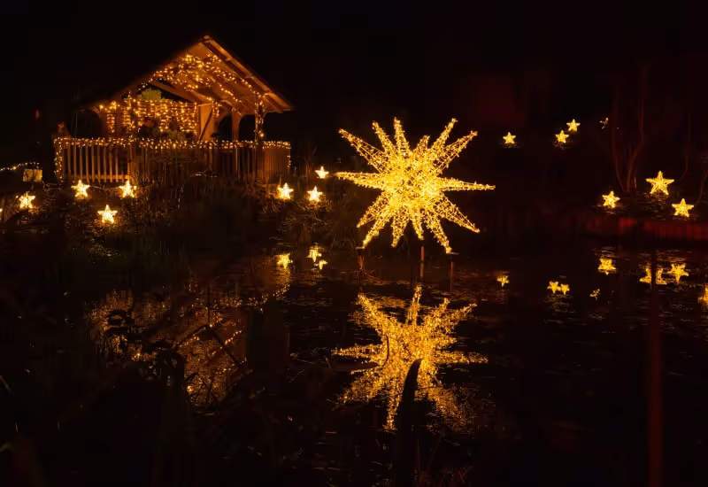 Light up at hillier gardens