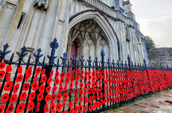Poppies 1 1