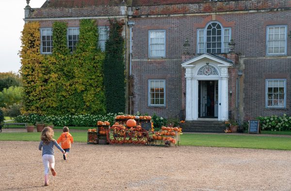 Pumpkin display at Hinton Ampner National Trust Images Sophie Bolesworth 1