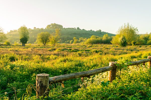 Water meadows RCM